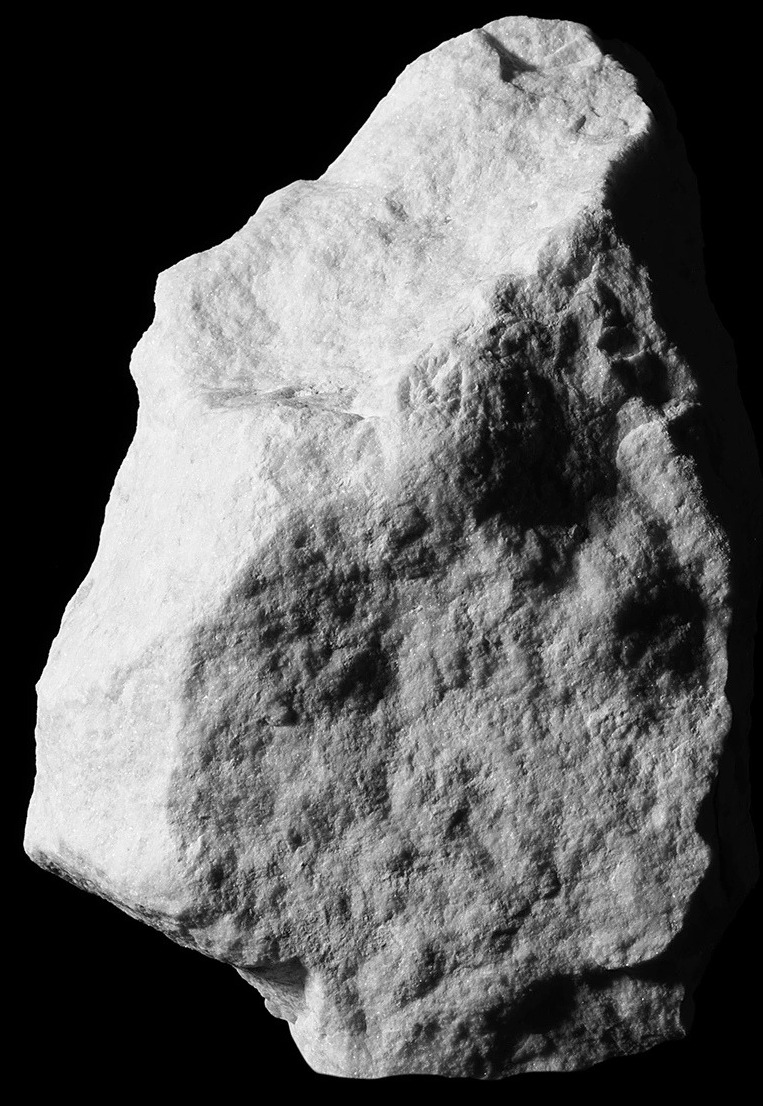 Built for Diversification